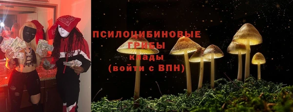 герыч Пересвет