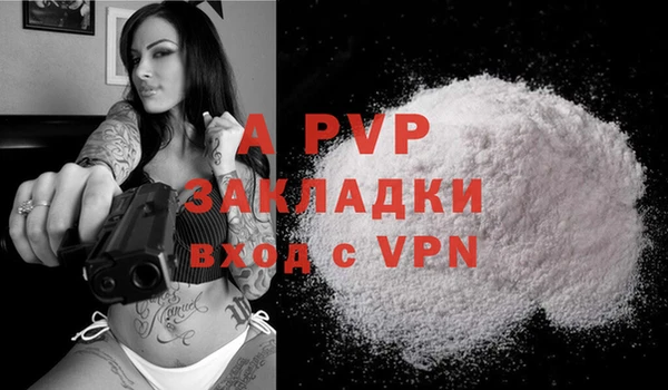 гашик Осташков