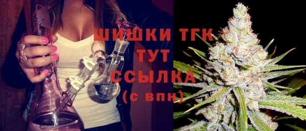 гашик Осташков