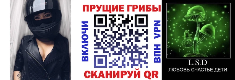 Купить где  Алзамай  Галлюциногенные грибы GOLDEN TEACHER 