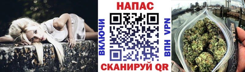 Канабис SATIVA & INDICA  Купить  Алзамай 